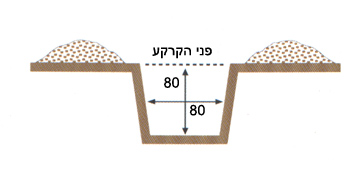 משתלת אלון - הנחיות שתילה - שלב1