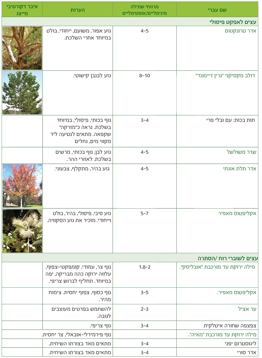 טבלאות שימושים מאויירות לפי שימושים גנניים לעצים - דף10