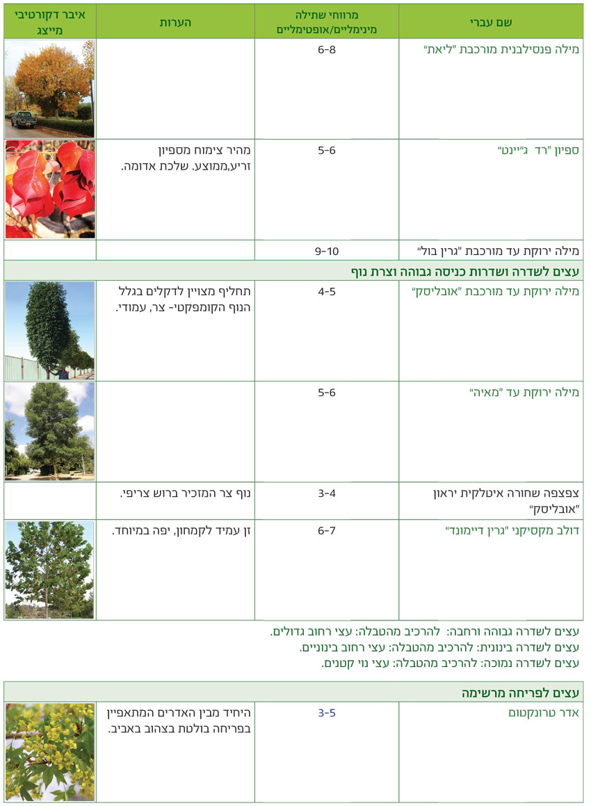 טבלאות שימושים מאויירות לפי שימושים גנניים לעצים - דף8