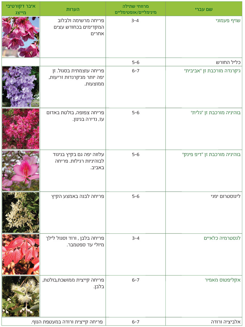 טבלאות שימושים מאויירות לפי שימושים גנניים לעצים - דף9