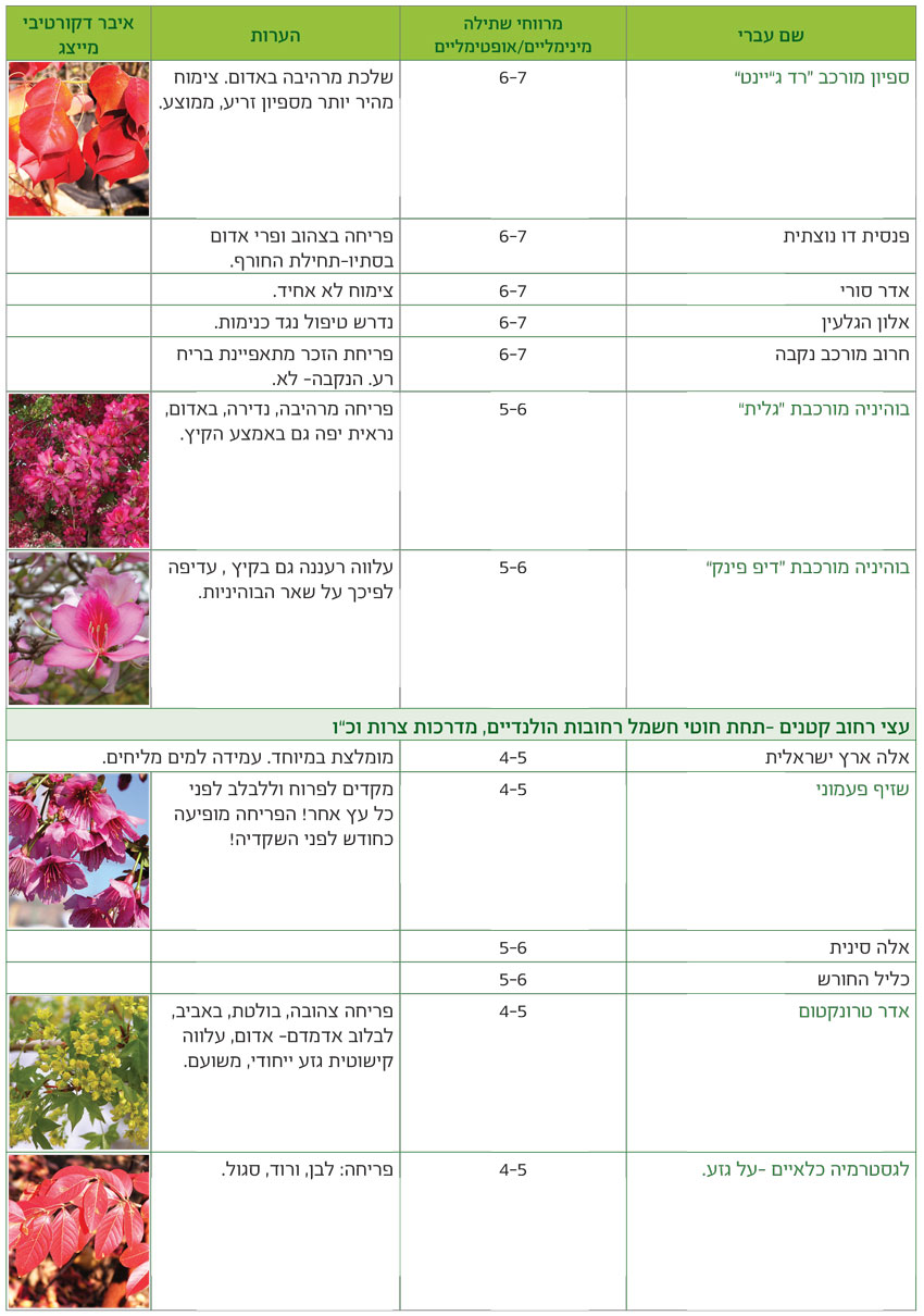 טבלאות שימושים מאויירות לפי שימושים גנניים לעצים - דף2
