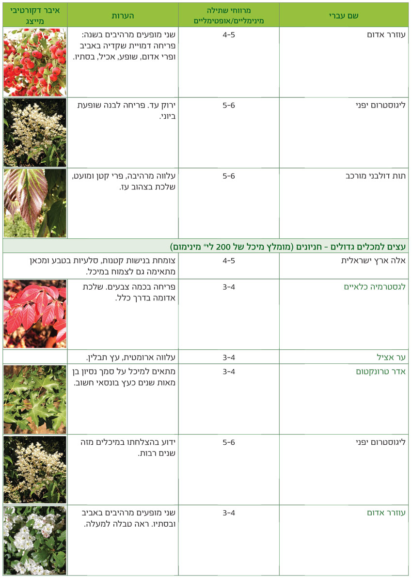 טבלאות שימושים מאויירות לפי שימושים גנניים לעצים - דף3