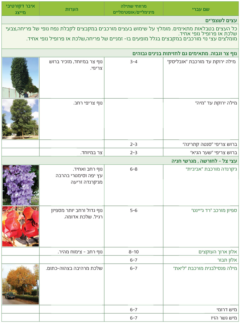 טבלאות שימושים מאויירות לפי שימושים גנניים לעצים - דף4