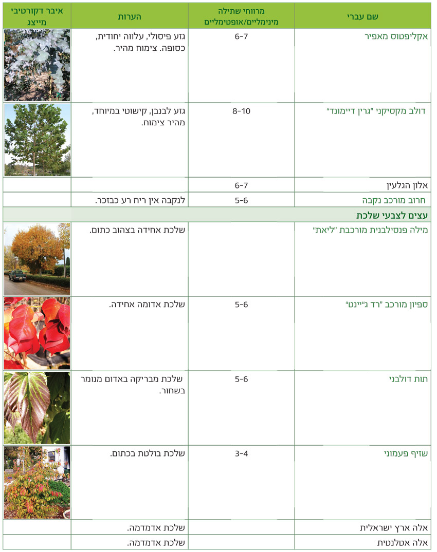 טבלאות שימושים מאויירות לפי שימושים גנניים לעצים - דף5