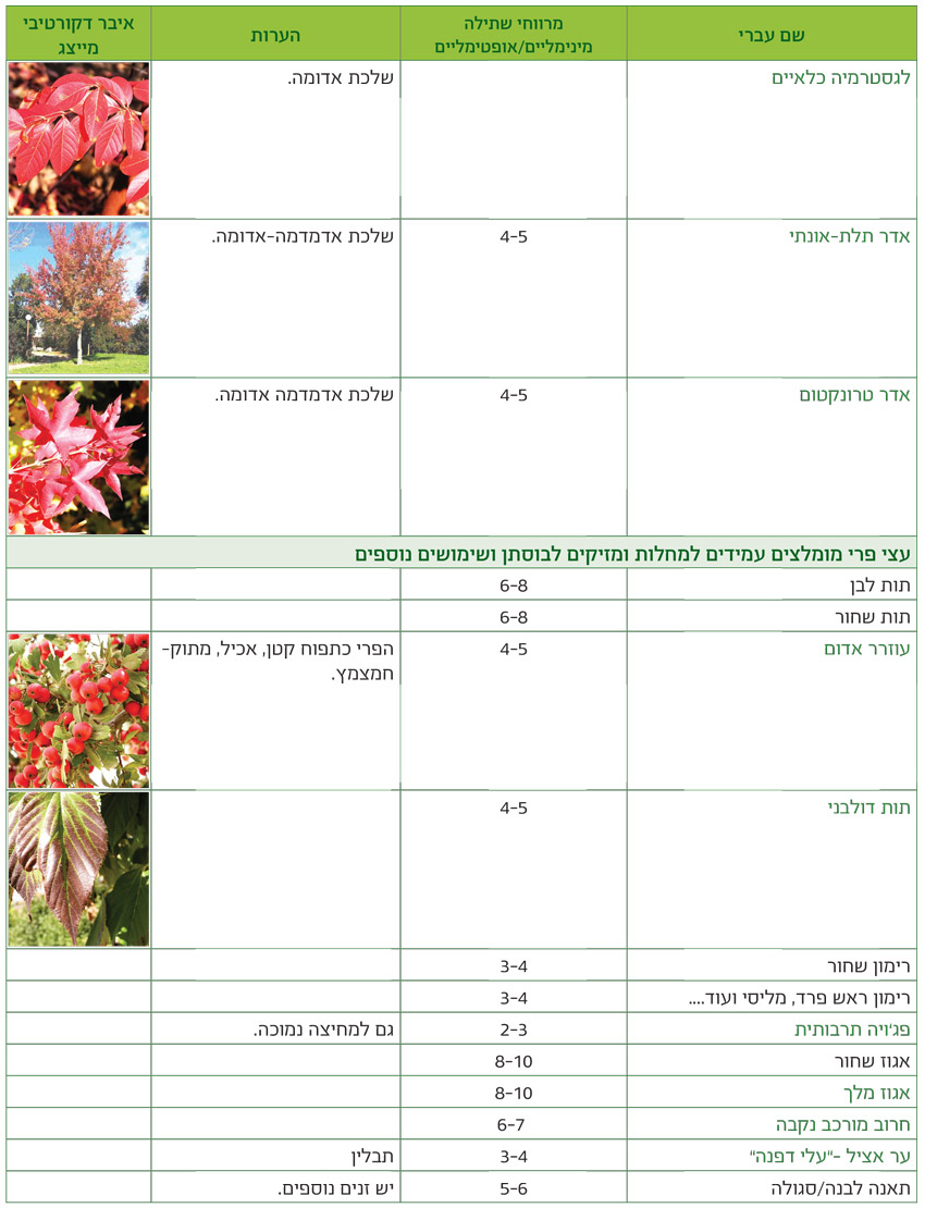 טבלאות שימושים מאויירות לפי שימושים גנניים לעצים - דף6