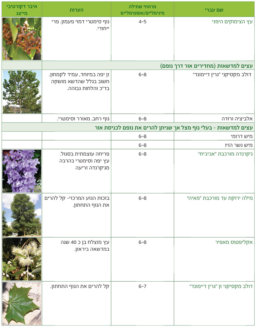 טבלאות שימושים מאויירות לפי שימושים גנניים לעצים - דף7